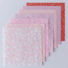 Origami set / Sakura
