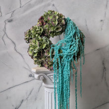 Yoko Negi’s Christmas Wreath / Blue