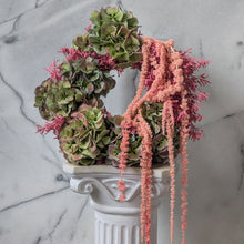 Yoko Negi’s Christmas Wreath / Pink