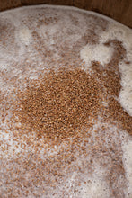 Buckwheat (Soba) Miso