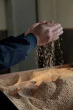 Sesame Oil - Henko series