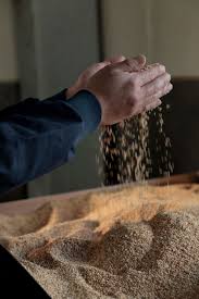 Sesame Oil - Henko series