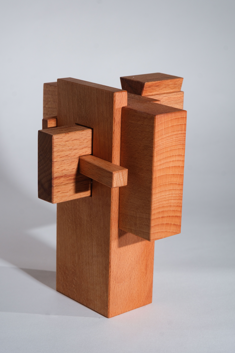 Pars pro totem / Beech Tsugi Table Joint