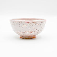 Shino Rice Bowl / deidei