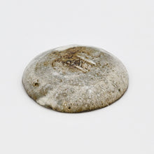 Kohiki Small Plate / deidei