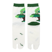 Tabi Socks / "Goyo-matsu" (Five Needle Pine)