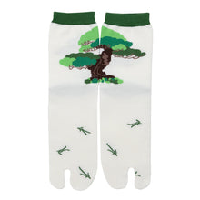 Tabi Socks / "Goyo-matsu" (Five Needle Pine)