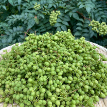 Sansho seasoning powder