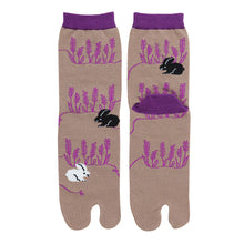 Tabi Socks / Rabbit Garden