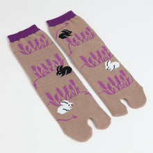 Tabi Socks / Rabbit Garden