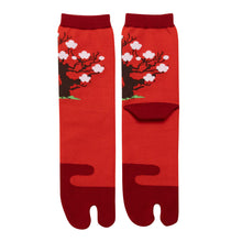 Tabi Socks / "Haku-bai"