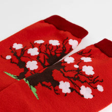 Tabi Socks / "Haku-bai"