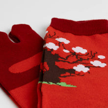 Tabi Socks / "Haku-bai"