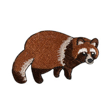 Patch/ Tanuki
