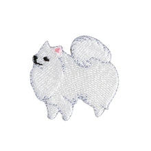 Patch / Japanese Spitz Dog