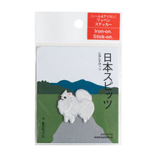 Patch / Japanese Spitz Dog