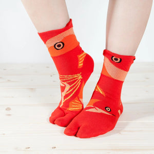 Tabi Socks / Ryukin Goldfish [Red]