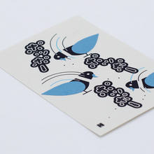 Postcard - Pigeon “coo coo”
