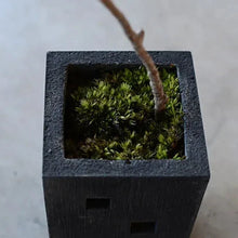 TRUSS PLANTER (Plant pot)