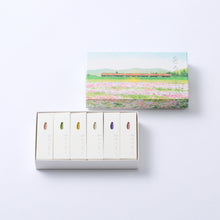 Colored Candles / Four Seasons Spring (6pc)