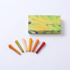 Colored Candles / Four Seasons Fall (6pc)
