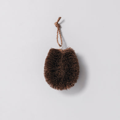 Scrub Brush for kitchen