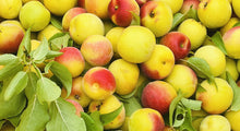 Umeshu - Rich Plum liqueur