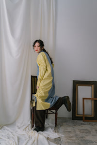 Shirts Dress / Bicolor