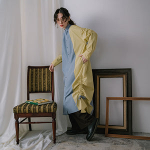 Shirts Dress / Bicolor