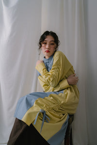 Shirts Dress / Bicolor