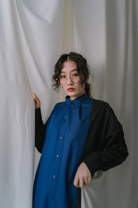 Shirts Dress / Bicolor