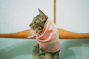 Handkerchief AURORA