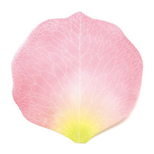 Paperable - Flower Petal Memos
