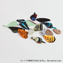 Accessory parts / Swallowtail (Wings)