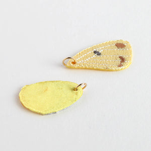 Accessory parts / Colias erate (Wings)