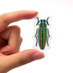 Embroidery patch / Insects "Jewel beetle”